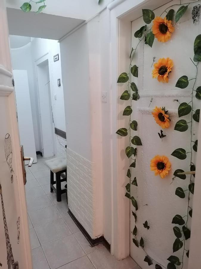 Low Cost Apartment Belgrade Exterior photo